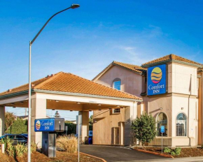 Comfort Inn Watsonville